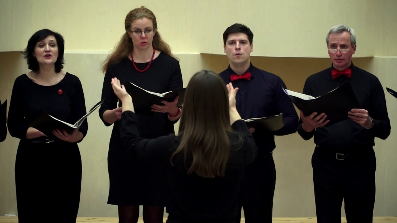 Choro „Druskininkai“ kamerinė grupė Cantate Domino 2016 competition