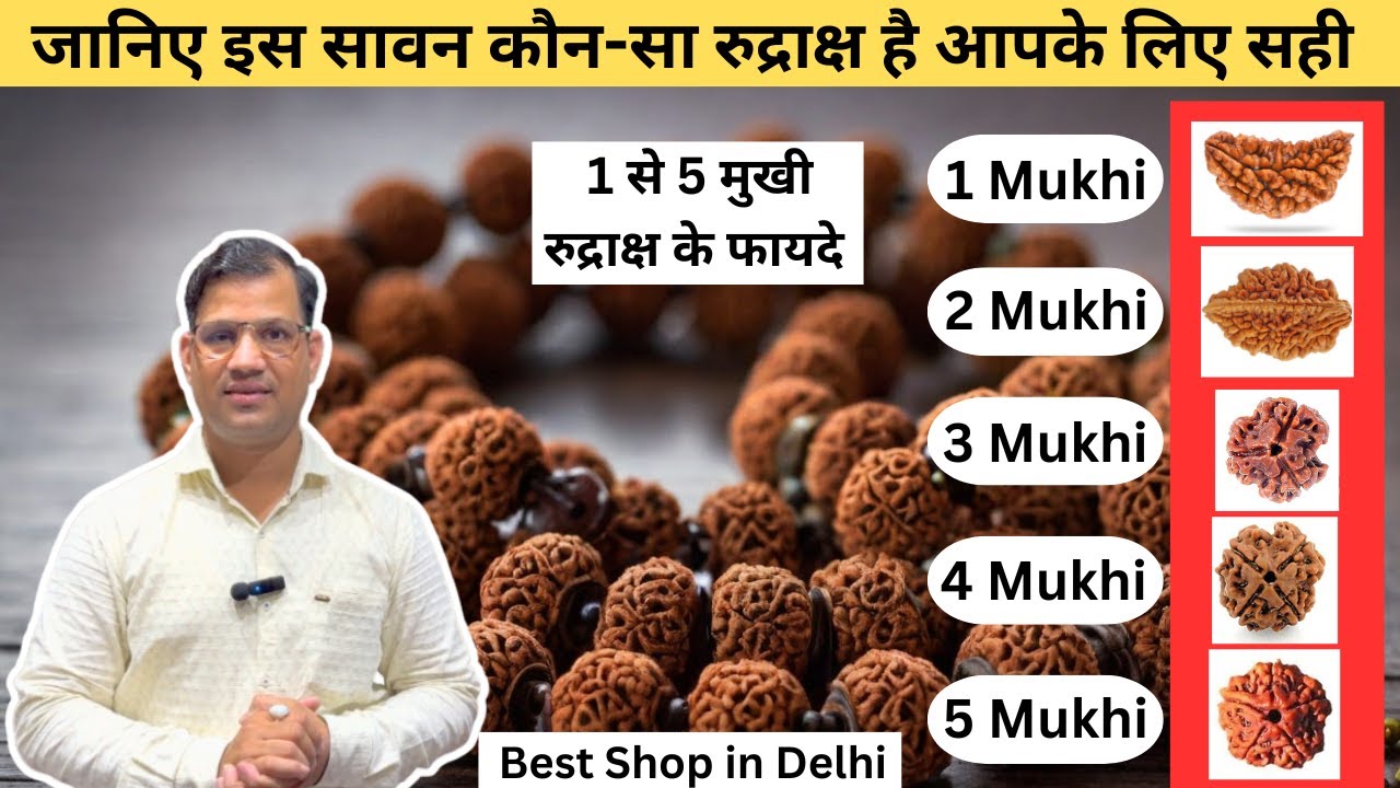 Kitne Mukhi Rudraksha Pehna Chahiye | Benefits of 1,2,3,4 and 5 Mukhi Rudraksha in Hindi #trending
