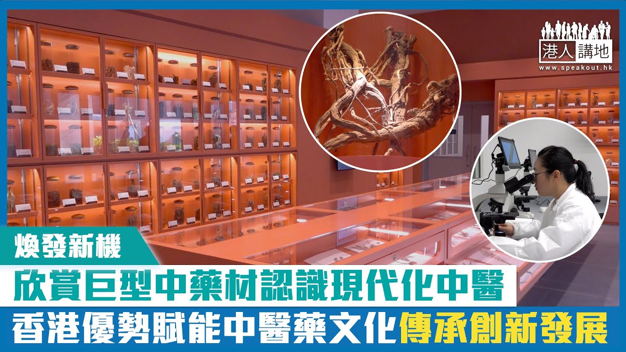 【短片】【煥發新機】欣賞巨型中藥材認識現代化中醫 香港優勢賦能中醫藥文化傳承創新發展