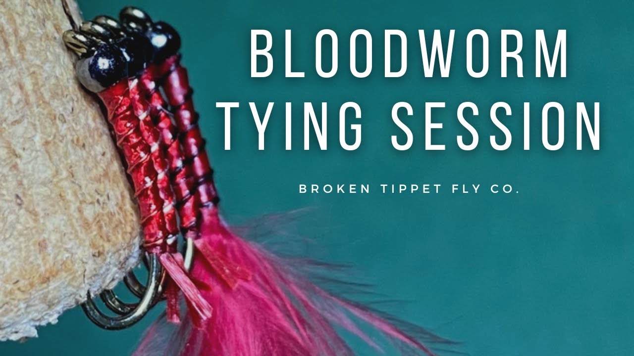 Fly Tying Session | Bloodworms