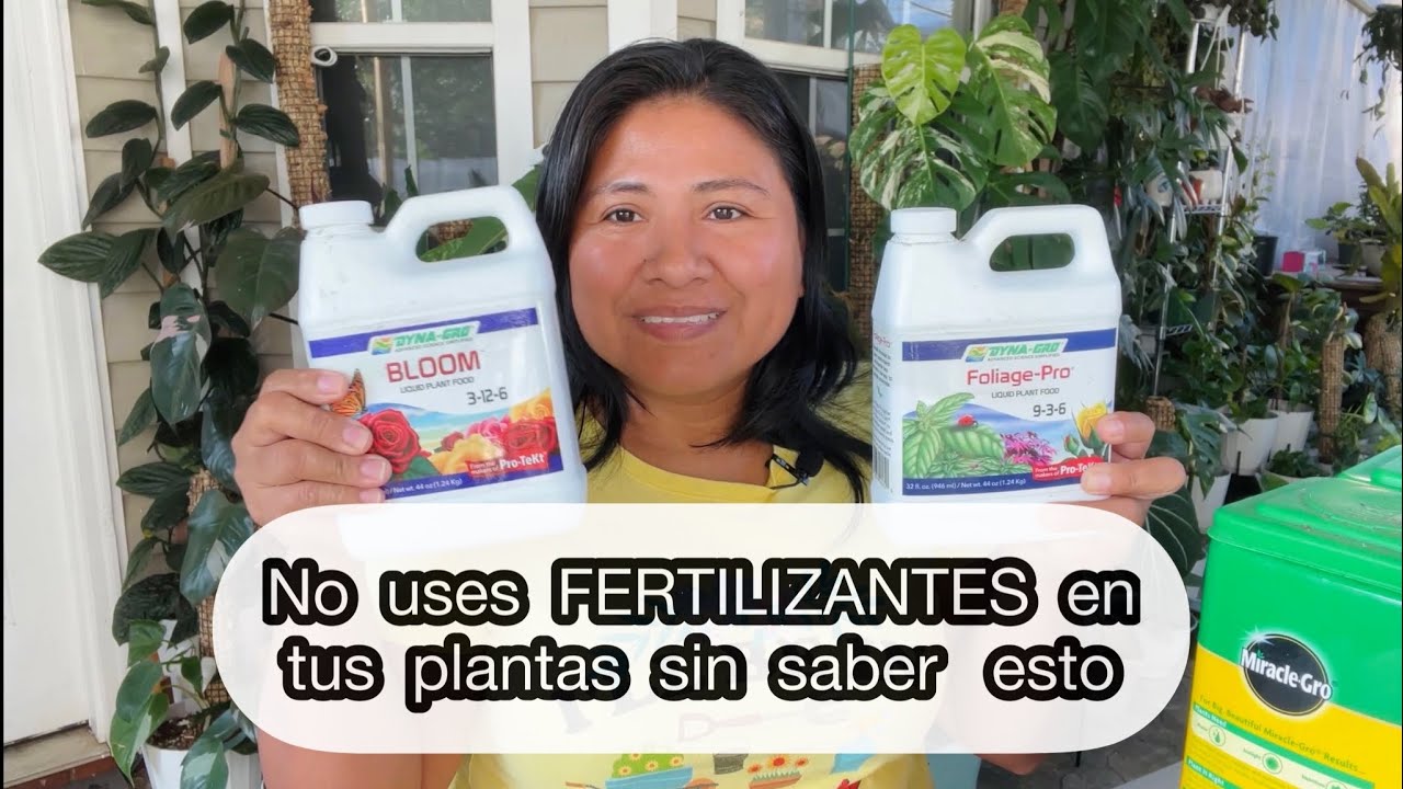NO USES FERTILIZANTE EN TUS PLANTAS SIN SABER ESTO || Ivet Suculentas y mas