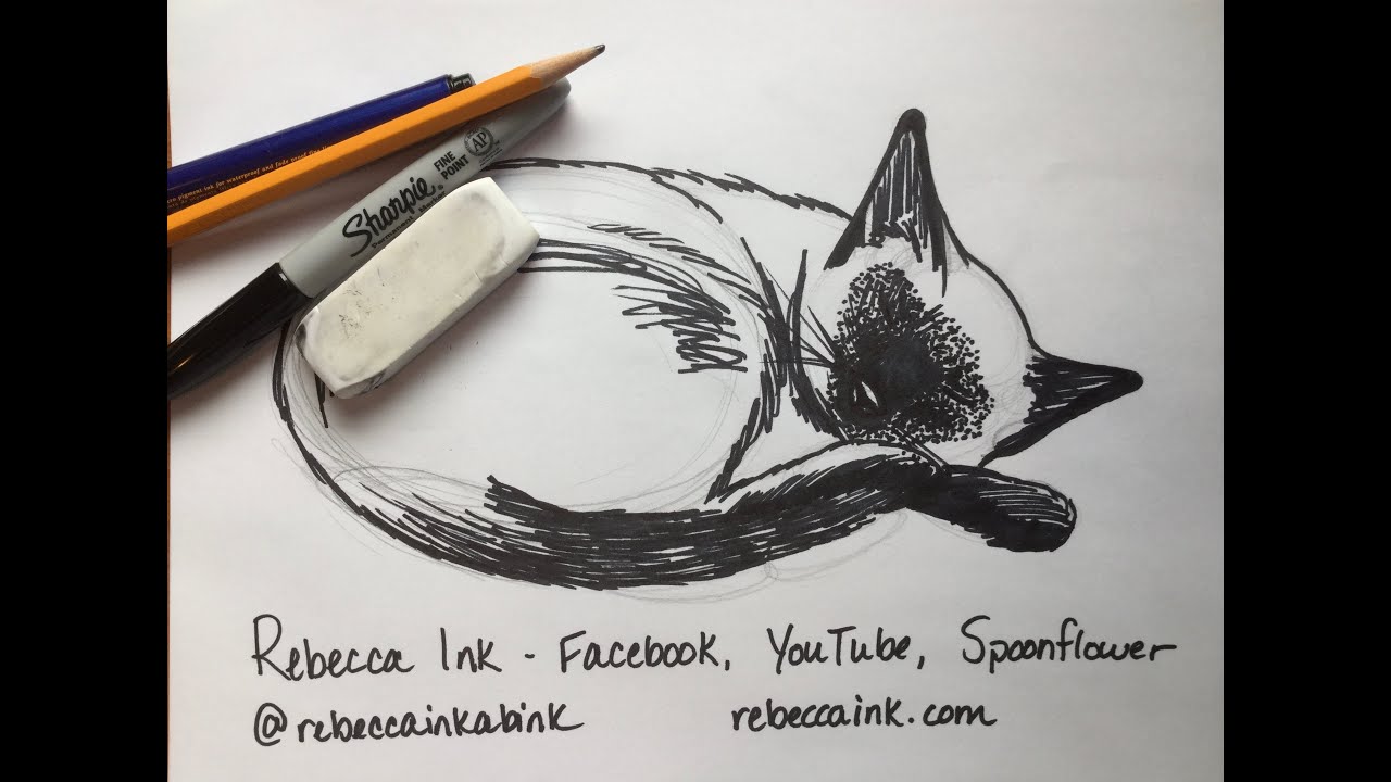How to Draw A Siamese Cat Easy