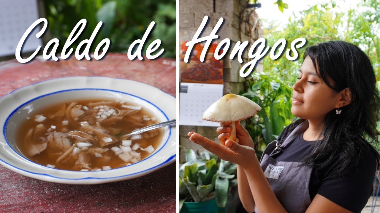 Caldo picosito de 🍄 HONGOS DE CAZAHUATE con epazote | La cuinique
