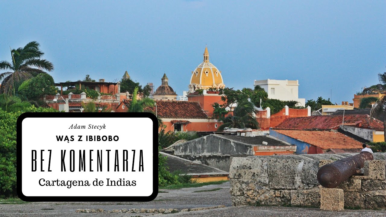 Wąs bez komentarza 4 - Cartagena de Indias