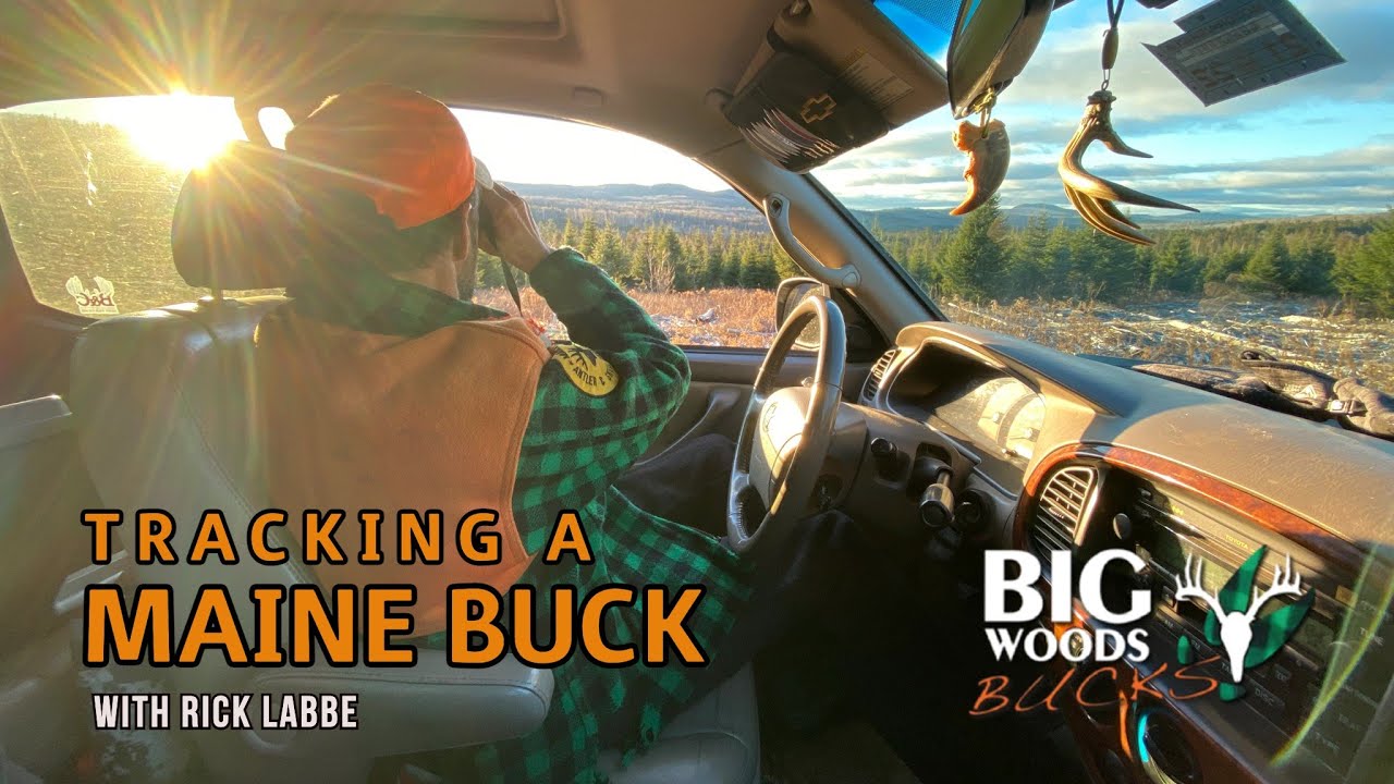 Выслеживание оленя из штата Мэн с Риком Лаббе | Big Woods Bucks