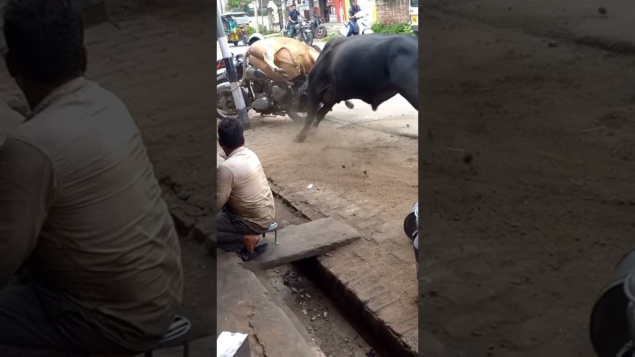 do sand Ki Ladai
