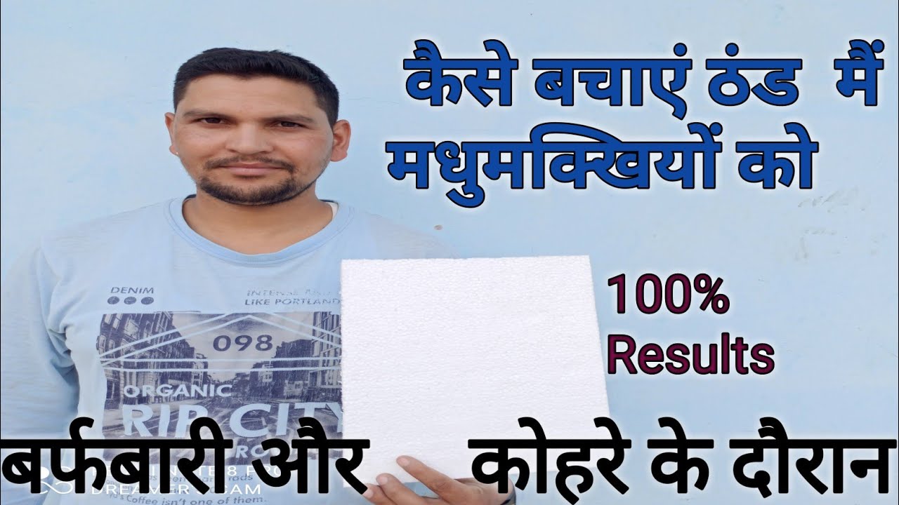 मधुमक्खियों की कमजोर कॉलोनी को सर्दियों में कैसे बचाएं जो 1 या 2 फ्रेम पर मधुमक्खियां होती है !