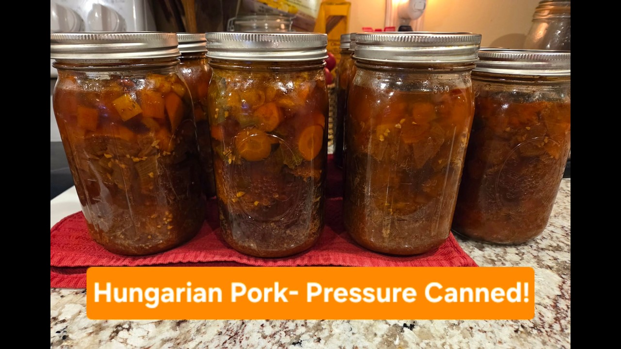 Canned Hungarian Pork-This is in my TOP 5!