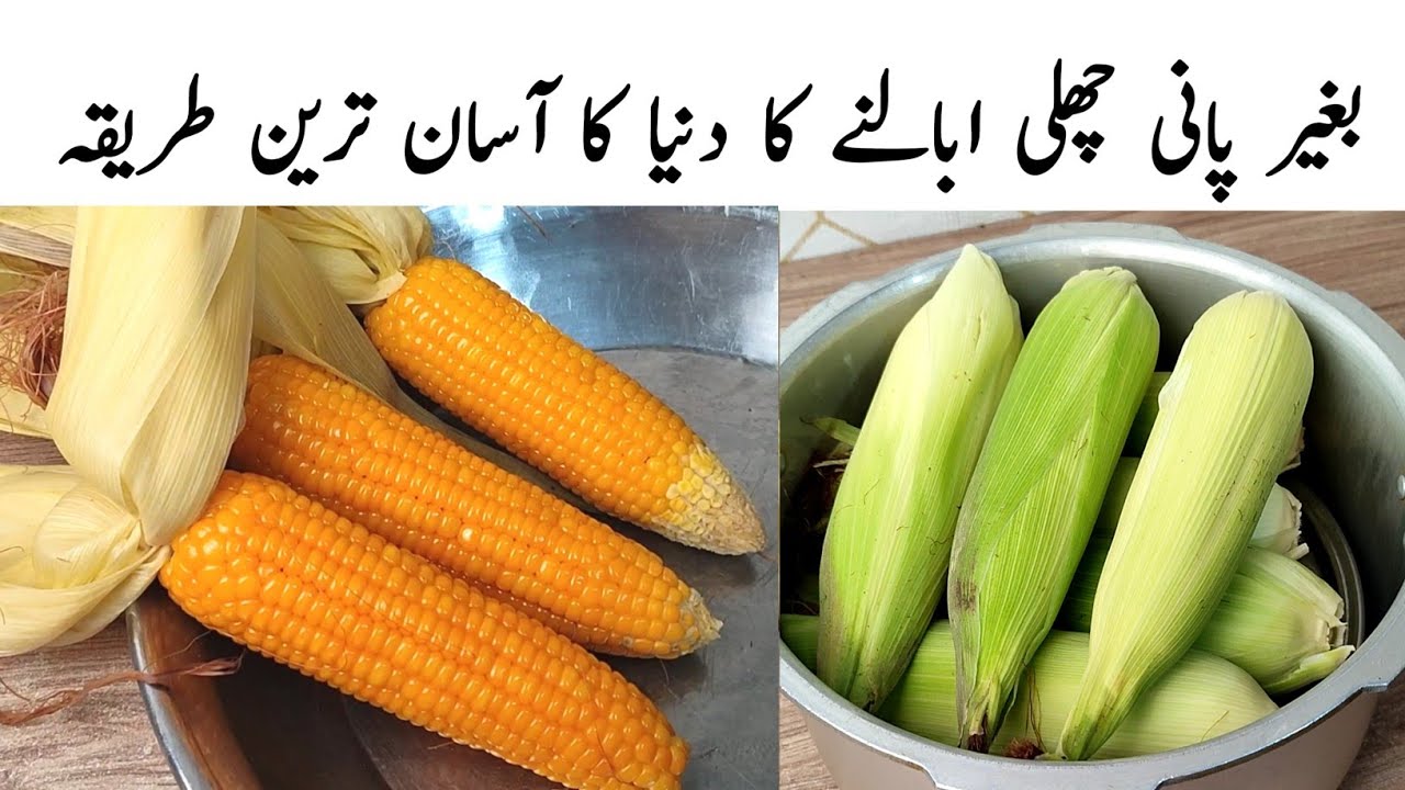 Chali Boil Karne Ka Tarika l Chali Boil Without Water | The world's easiest way to boil chali