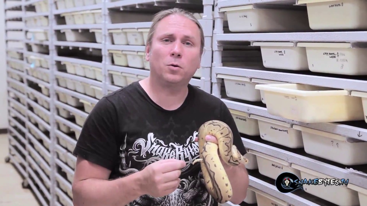 Snake Bit the Crap Out of Me : SnakeBytesTV