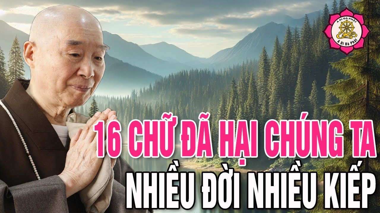 Mười sáu chữ đã hại ta nhiều đời nhiều kiếp - Pháp sư Tịnh Không thuyết pháp