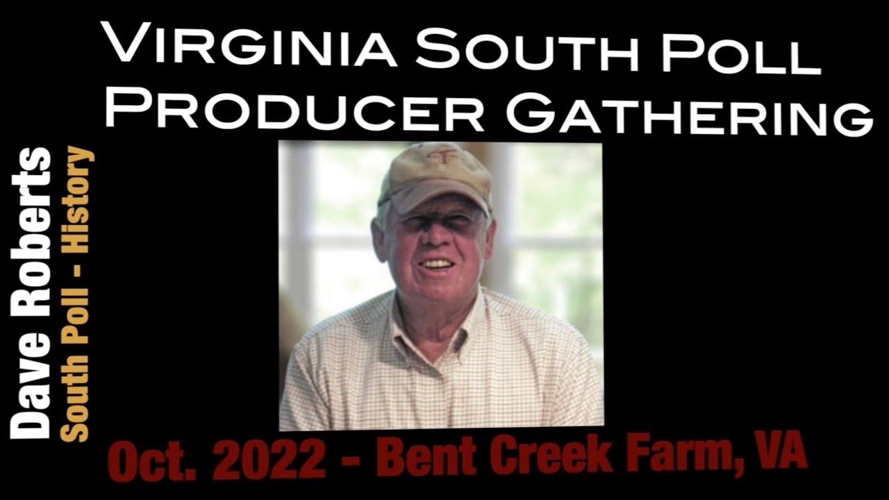 South Poll Grass Cattle History - Dave Roberts