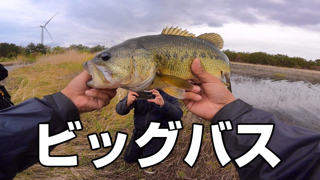 初めてのバス釣り(実釣編)