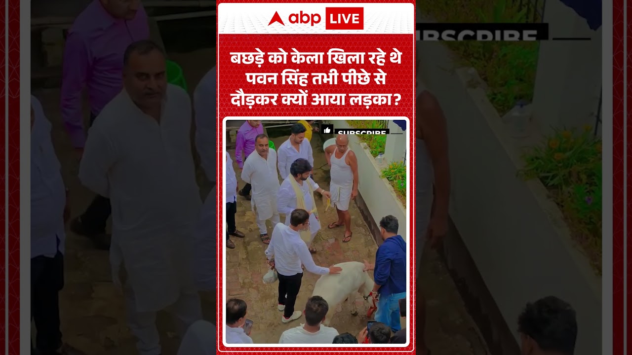 Pawan Singh MLC : बछड़े को केला खिला रहे थे पवन सिंह तभी पीछे से दौड़कर क्यों आया लड़का ? #shorts