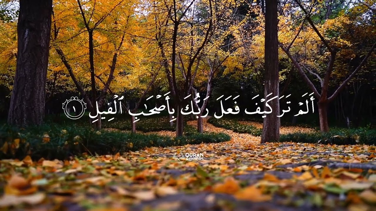 Surah Fil l Mishary Rashid Alafasy l #allah #quran #islamic #last10surahs #quranmentors