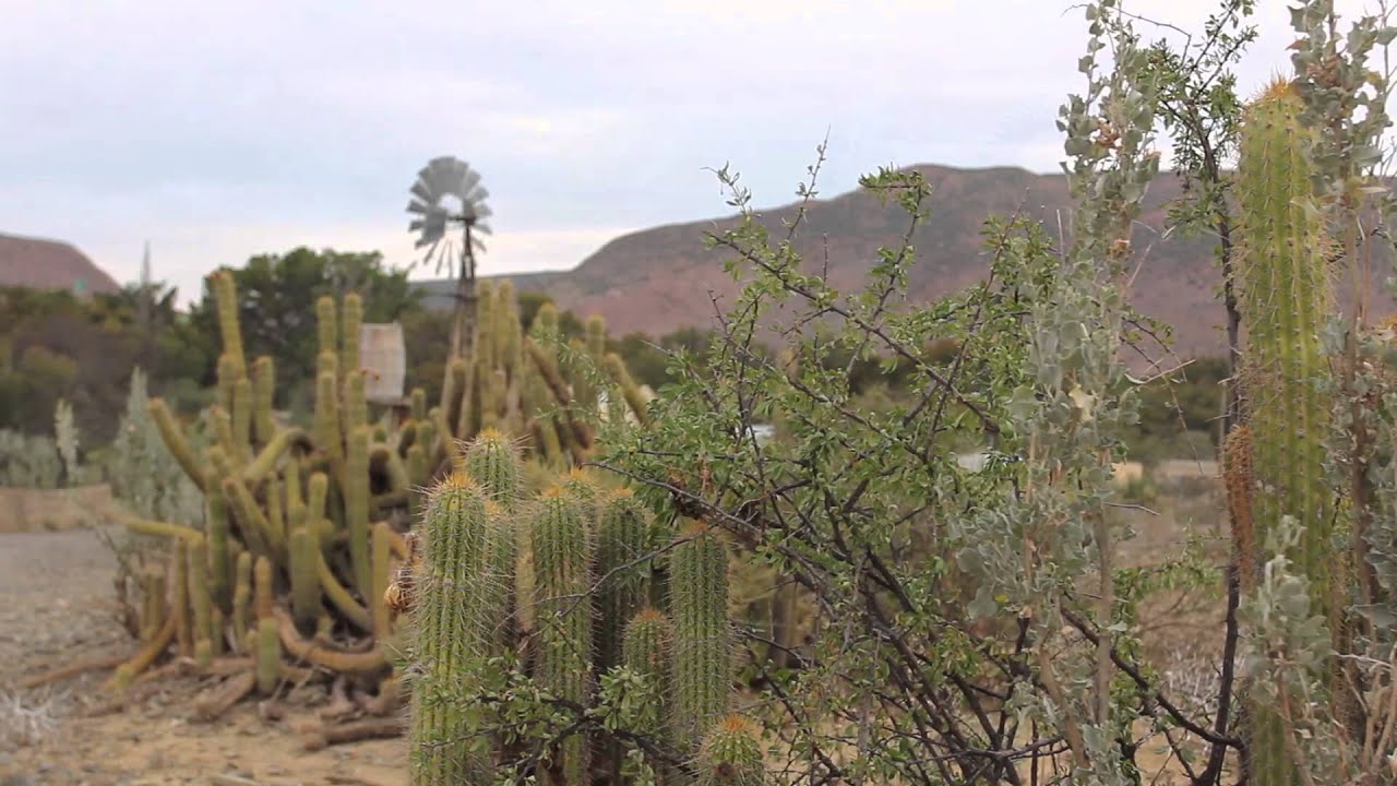 RIETBRON experience real Karoo hospitality..