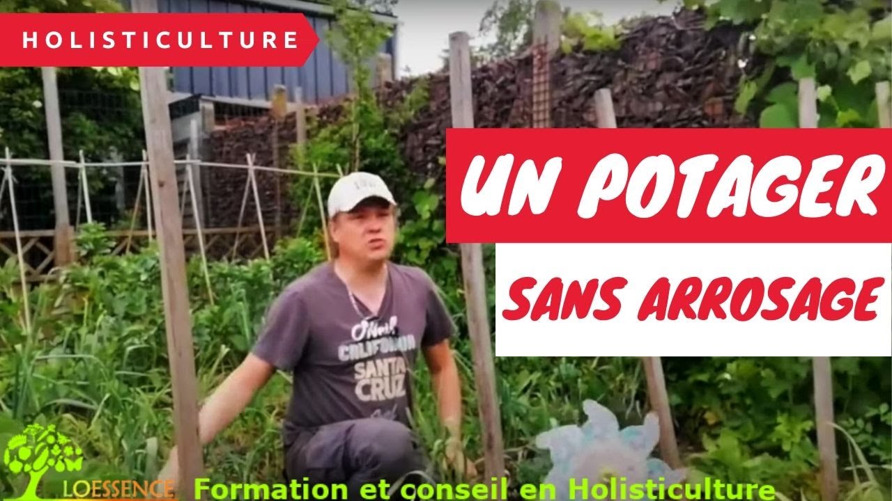 Comment j'arrive &agrave; avoir un potager sans arrosage