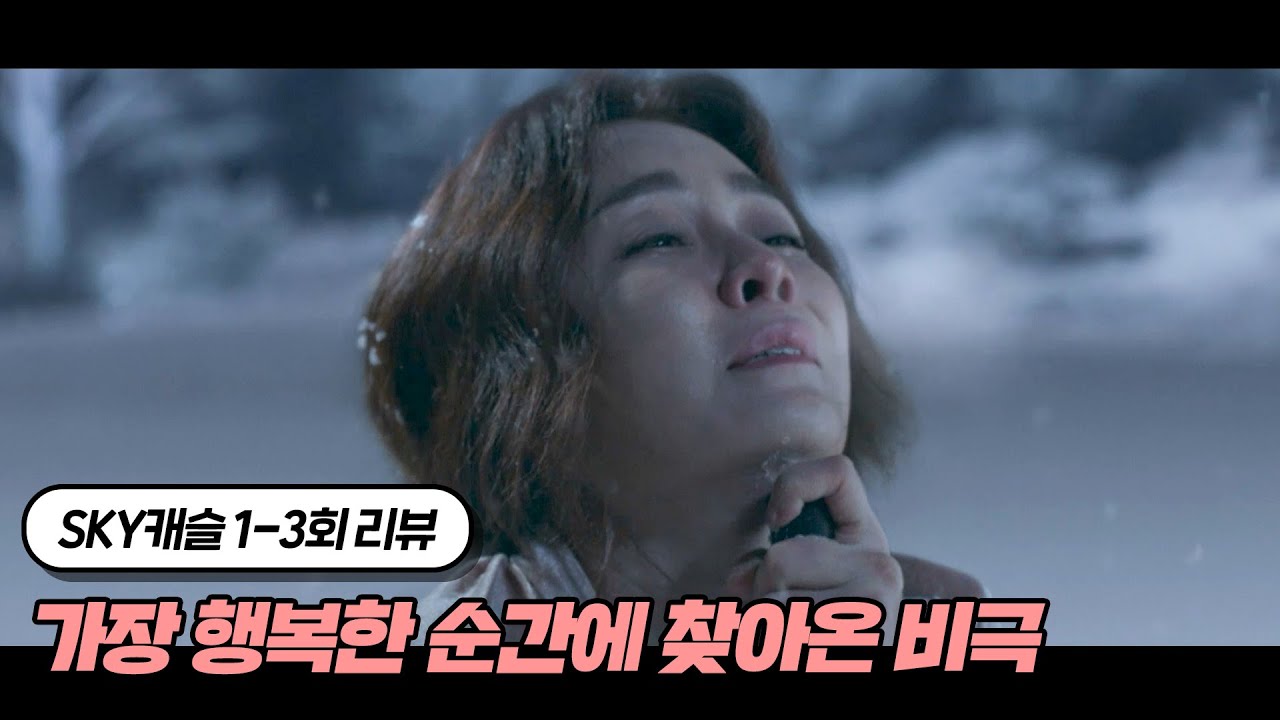 아들을 서울 의대에 합격 시킨 엄마의 최후｜SKY 캐슬 1~3회 요약