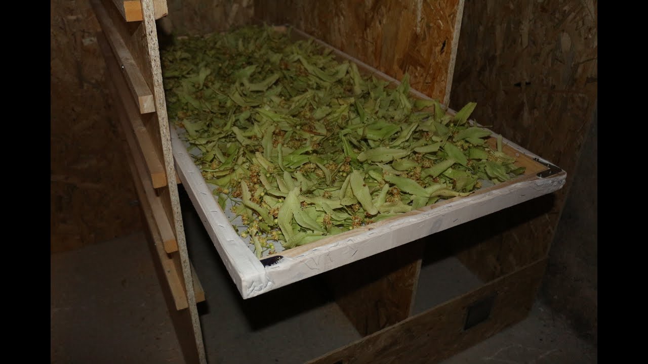 Séchoir à plantes : Fabrication et présentation