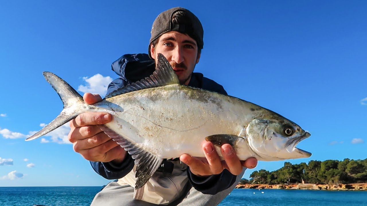 MINNOWS SUSPENDING igual a ¿MAS PECES? ¿CONSEGUIRE HACERLOS PICAR?🤔🤔