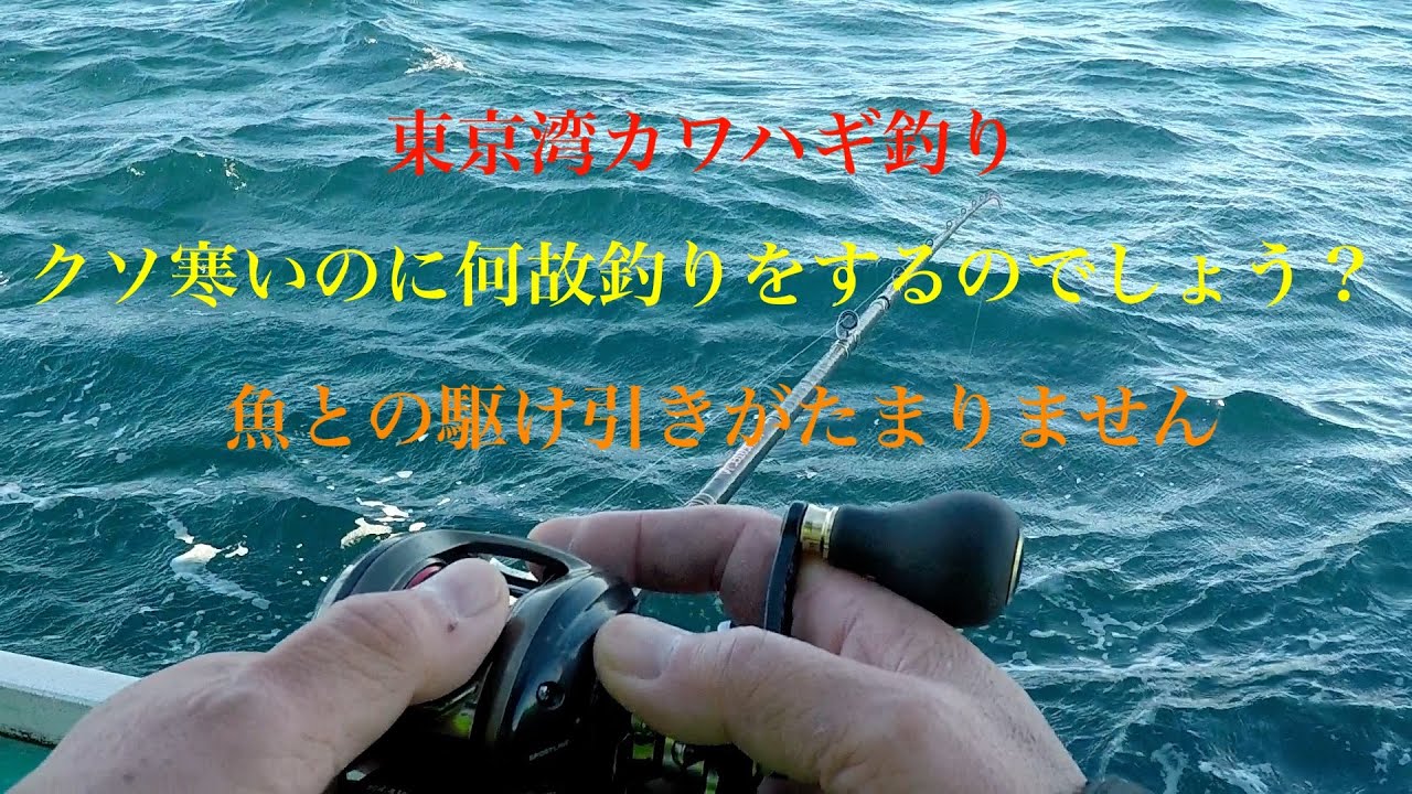 （東京湾カワハギフィッシング）釣って楽しい！食べて美味しい！酒も進むカワハギちゃん　餌つけから釣り上げまでノーカットで！！