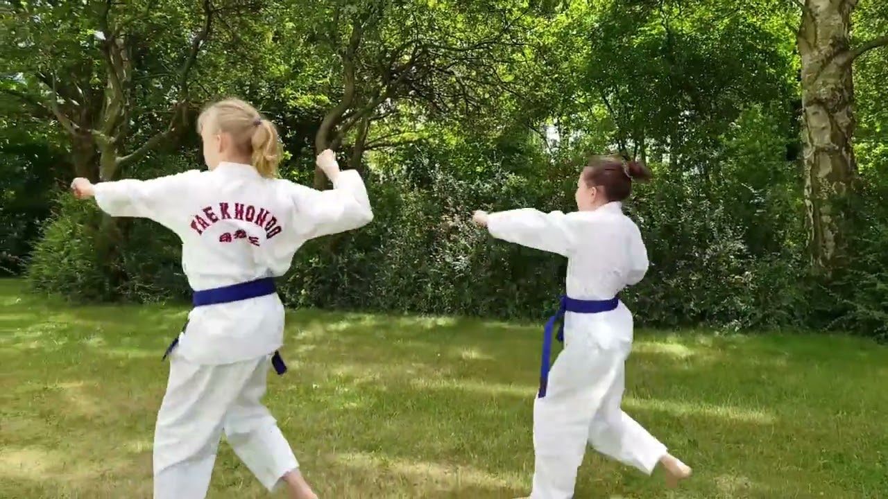 Taekwondo blau-gurt Prüfung
