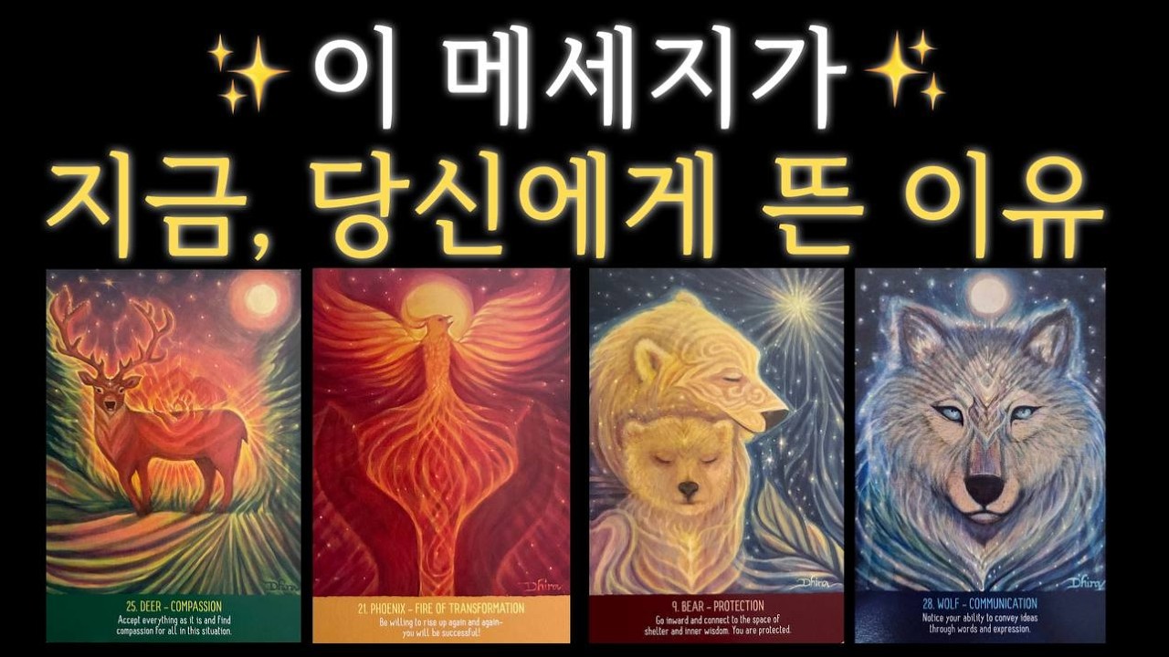 ✨이 메세지가 지금, 당신에게 뜬 이유✨