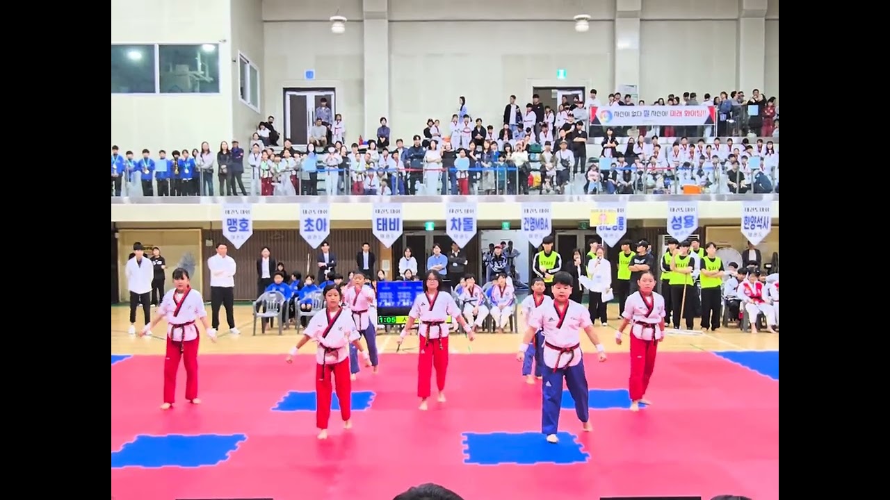 중랑구청장기 태권체조 - 1위 한울효 초등 B팀#한울효태권도 #품새선수단 #중랑구태권도 #품새대회 #태권체조 #방송댄스