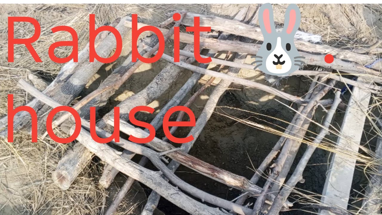 Rabbit house