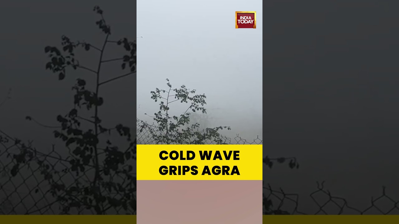 Cold Wave Hits Agra: Dense Fog Covers Taj View Point as Temperature Drops to 6&deg;C | #coldwave #agra