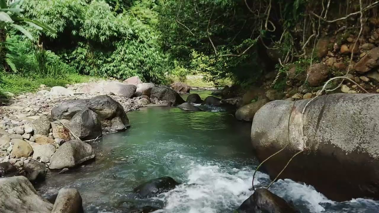 Experience Calm Water Movement and soothing Stream Sounds for Calm Productivity