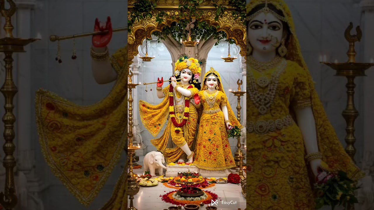 श्रीमदभागवत कथा स्कन्ध चतुर्थ भाग 06 ध्रुवजी की तप के बाद वापसी,शासन,ध्रुवलोक गमन ।।