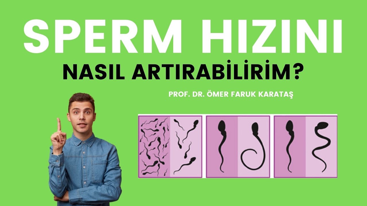 Sperm Hızını Nasıl Artırabilirim? - Prof Dr. Ömer Faruk Karataş