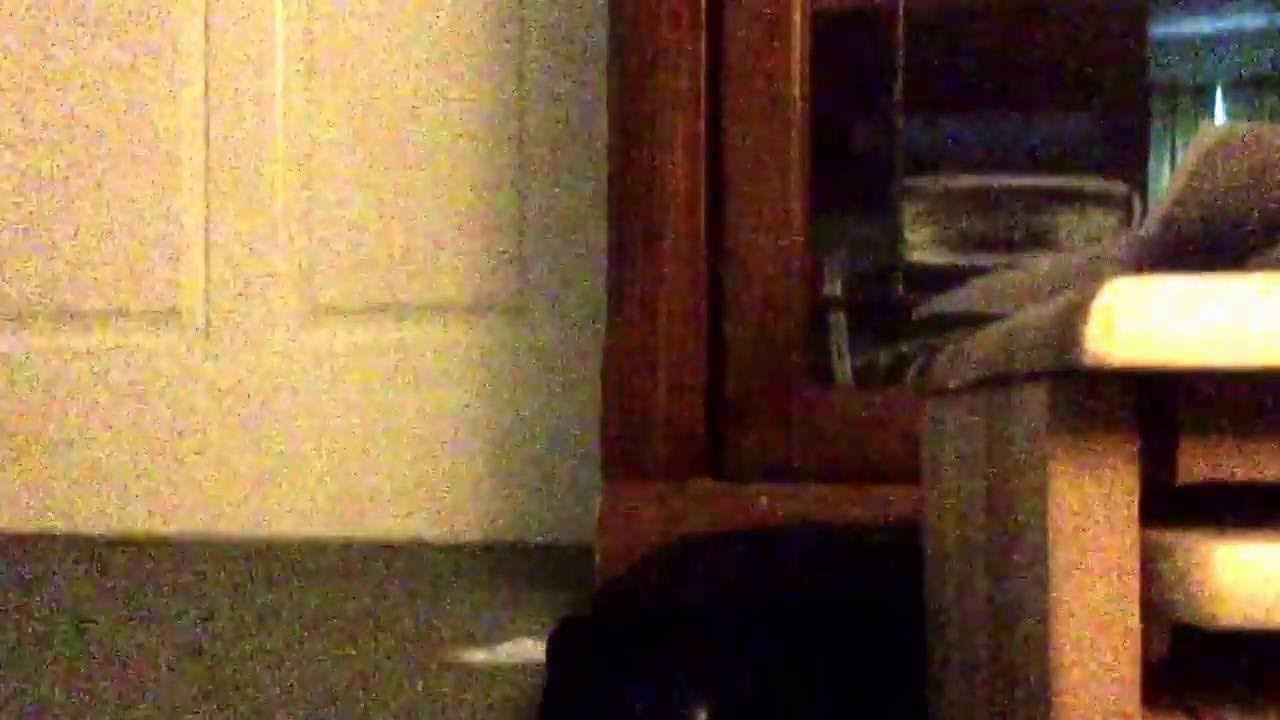 Video worniing