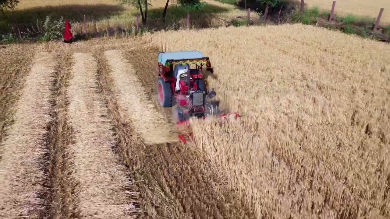 Tractor mounted reaper  wheat sesame mustard harvesting make in india 🇮🇳9463017000 #reapermachine 