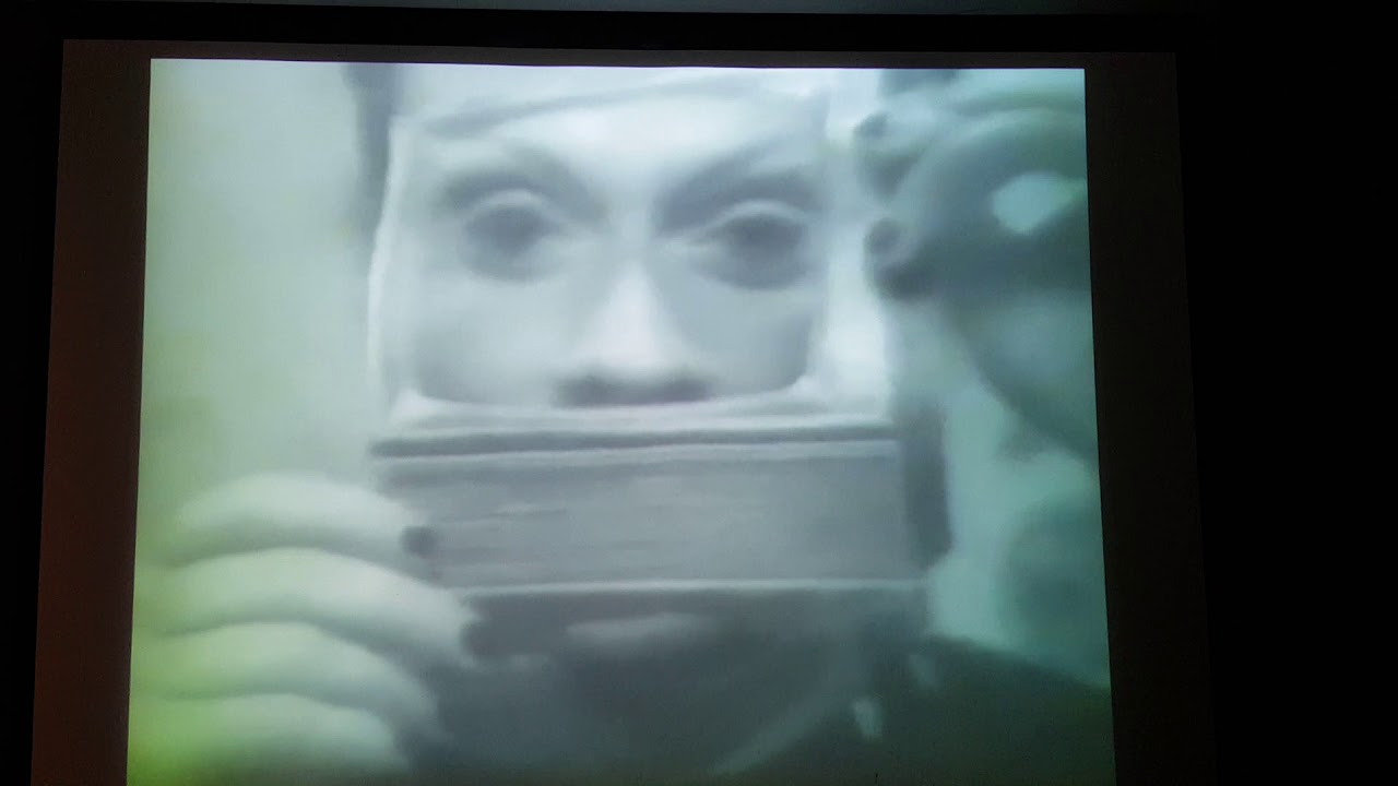 Klaus Nomi Show