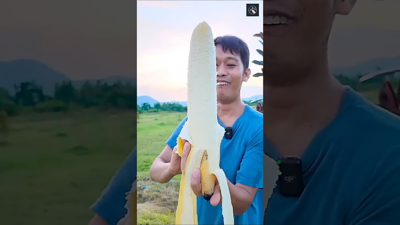 If banana tree gives bananas then why is it cut down