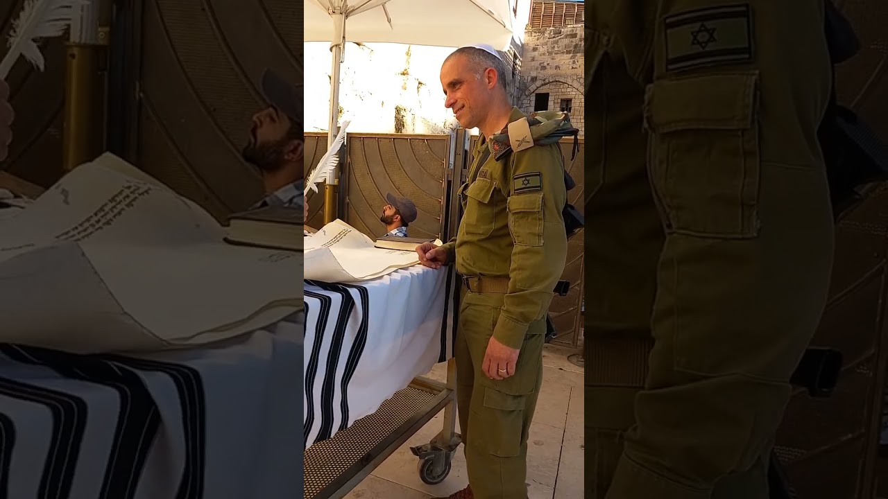שרון ת