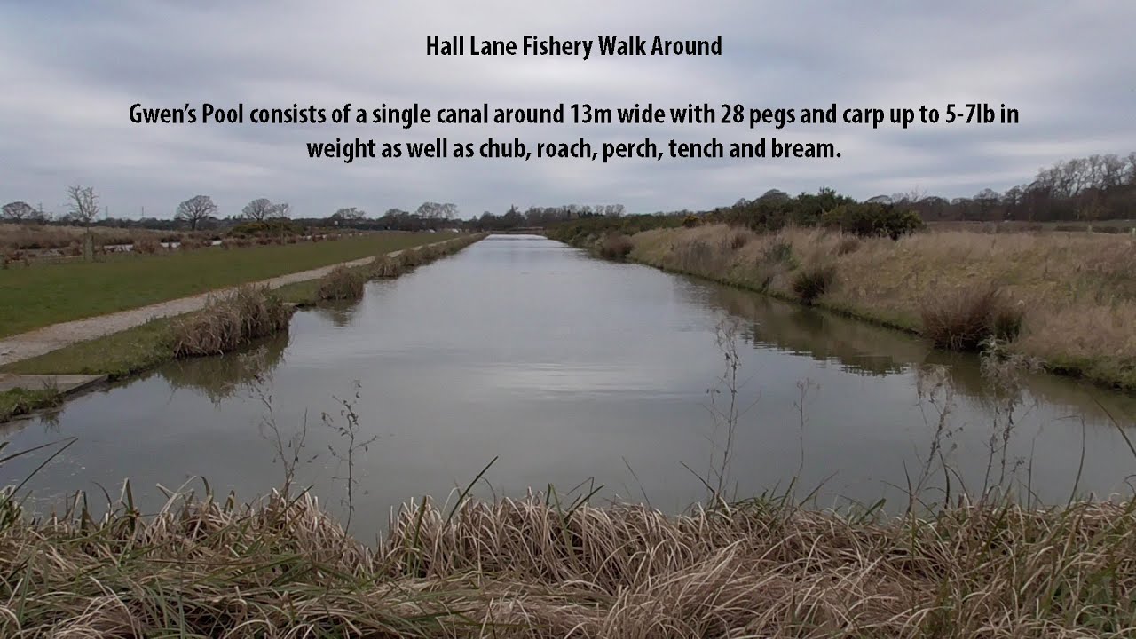 Hall Lane Fishery 23-03-2016