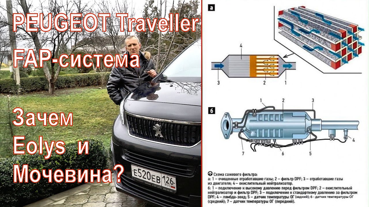 PEUGEOT Traveller. Присадки Eolys и мочевина. FAP система.