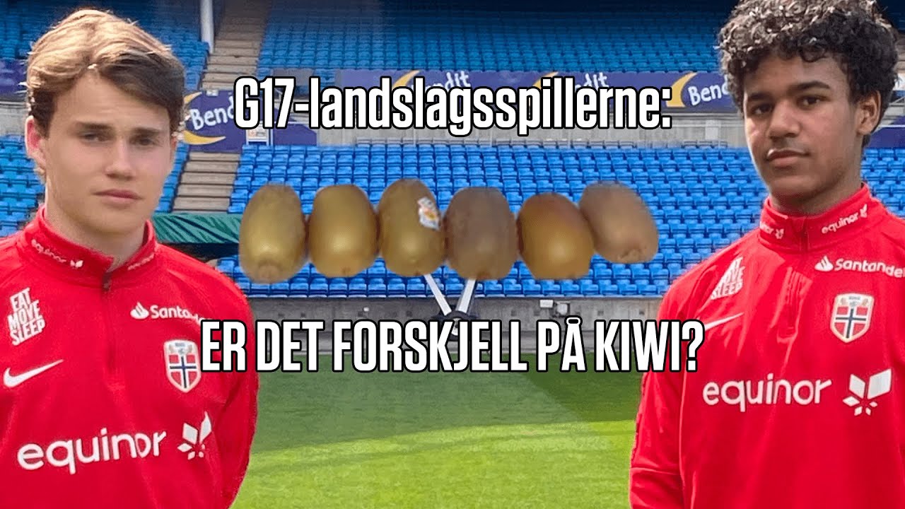 Finnes det flere typer kiwi? 🤔