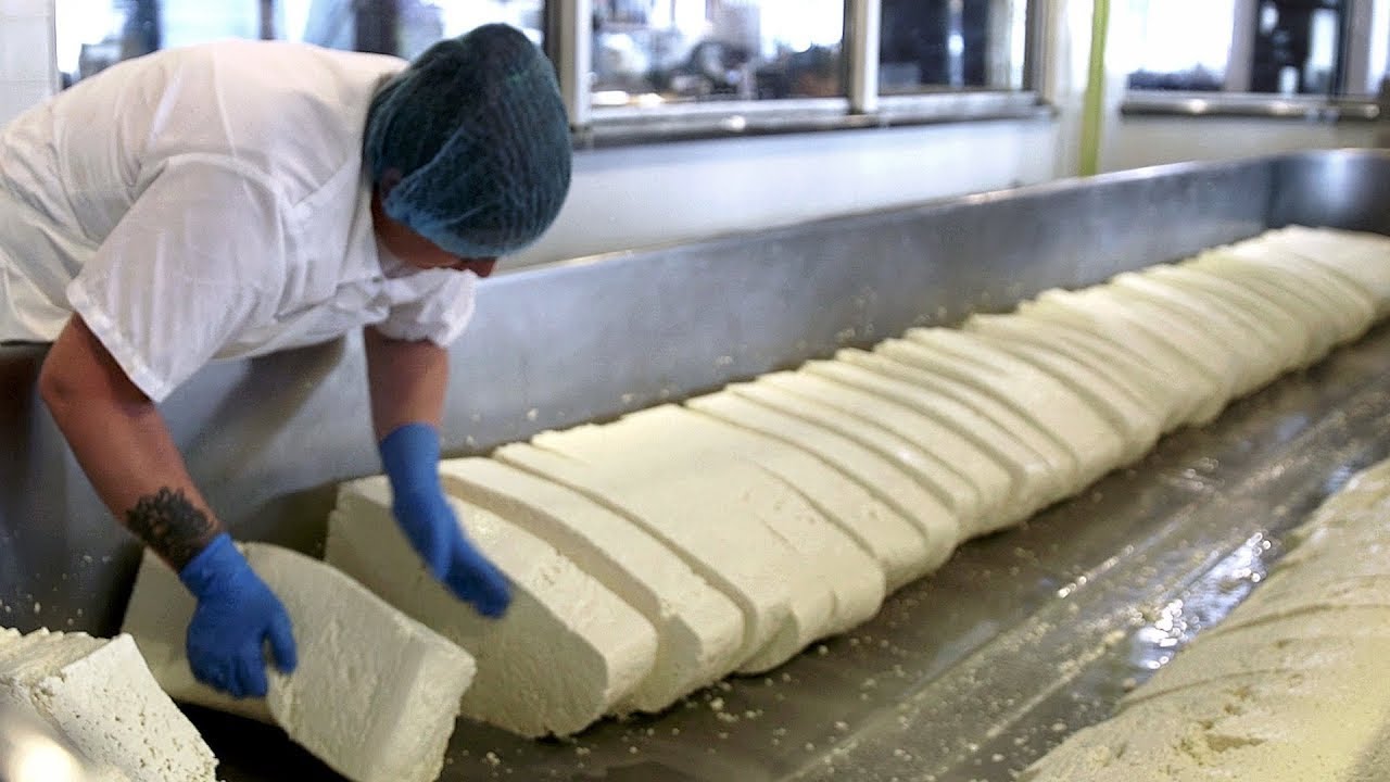 How Industrial CHEDDAR CHEESE is MADE 🧀| How Cheddar cheese is MANUFACTURED