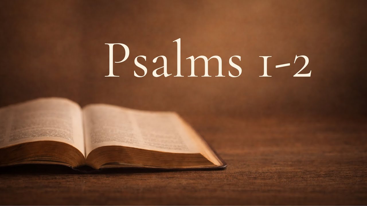 Psalms 1-2 | Daily Bible Reading & Reflection (Day 4)
