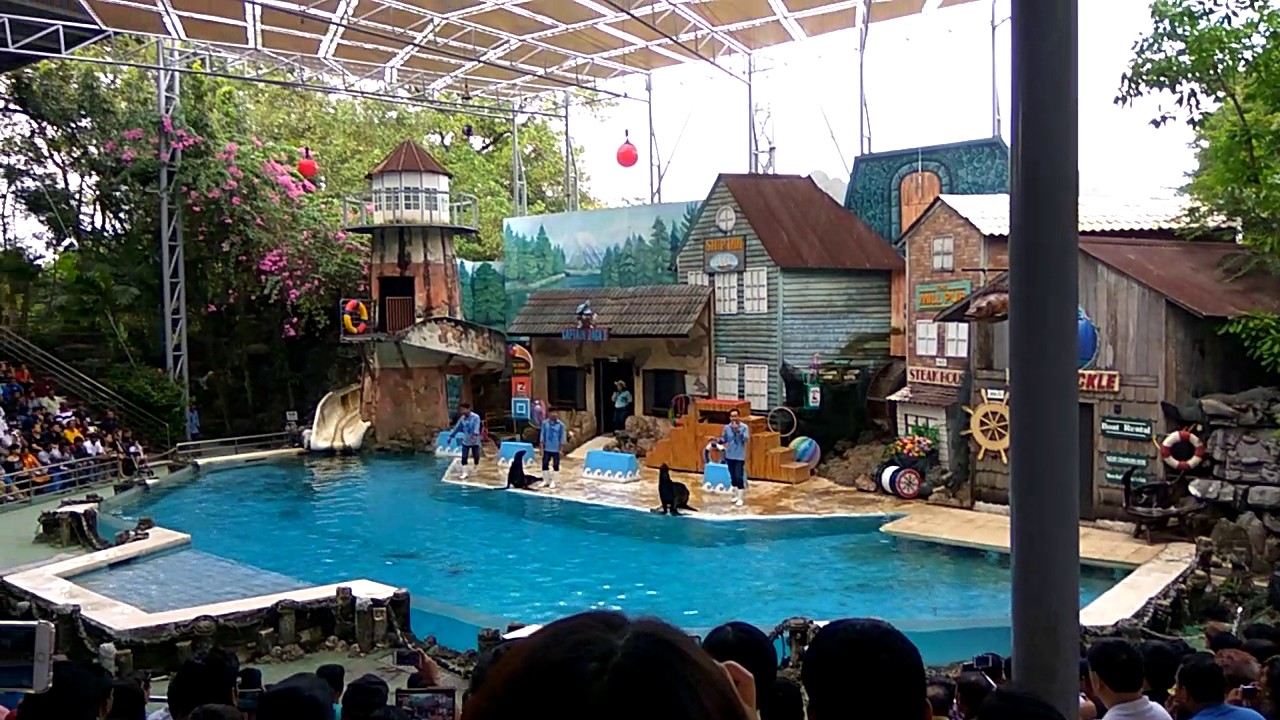 Safari world Bangkok-Marine park Sea Lion Show