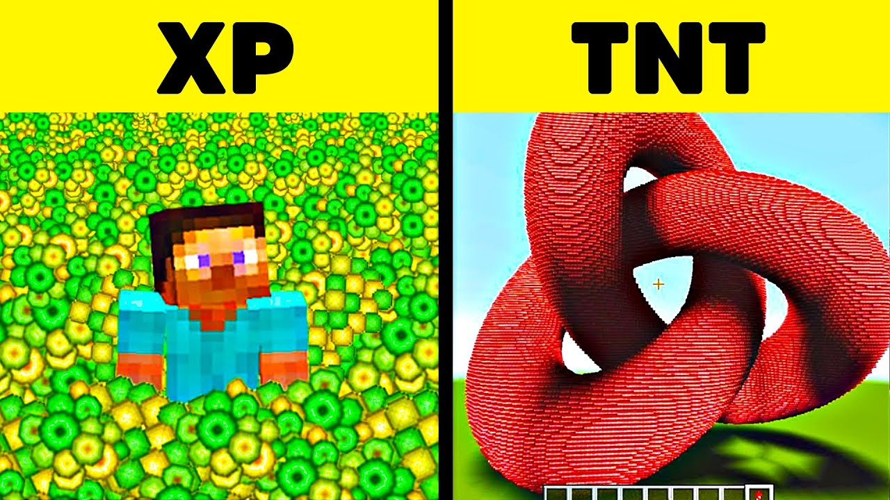 Minecraft Spieler die UNGLAUBLICHES geschafft haben!