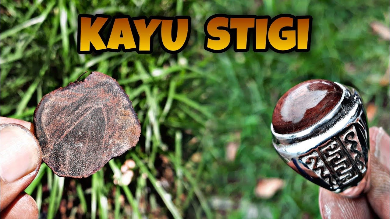 Cincin Kayu Stigi