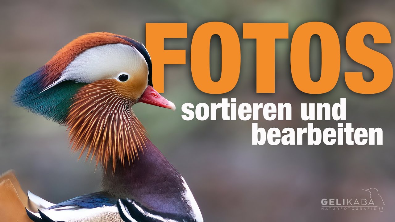 Fotos sortieren und bearbeiten mit Lightroom. Ich zeige euch meinen Workflow. Tipps und Infos