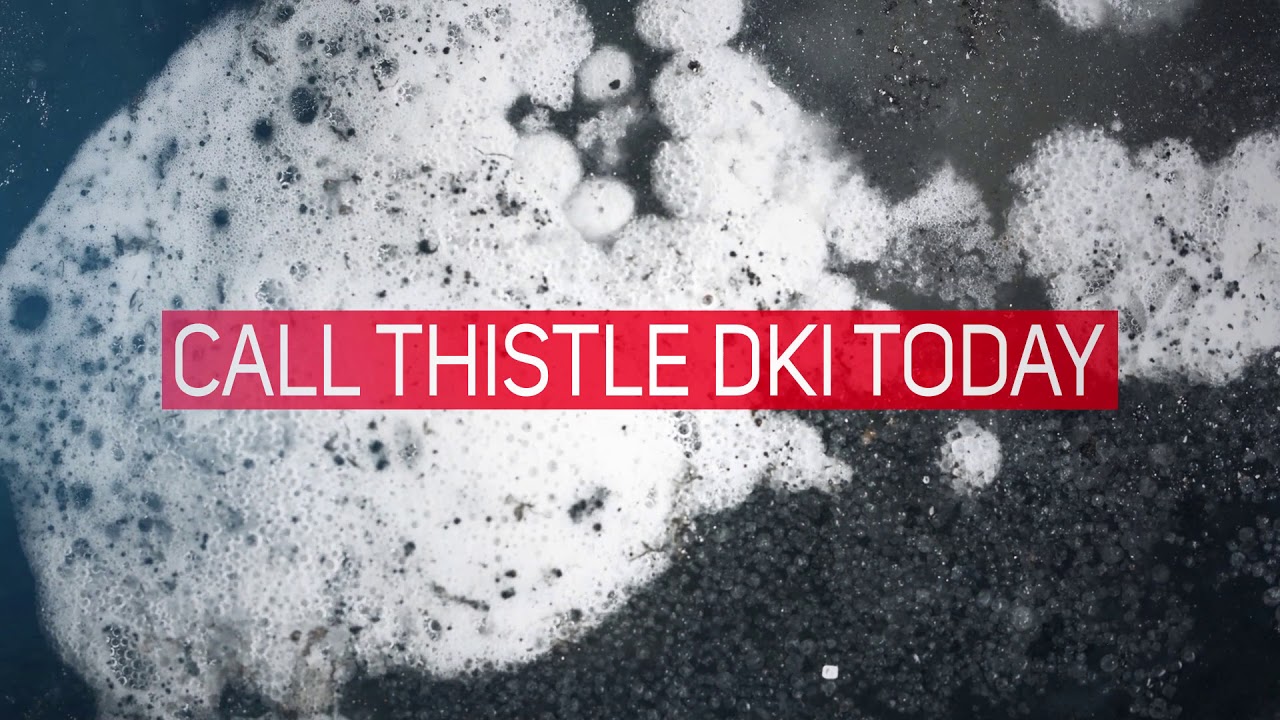 Thistle DKI Mold Remediation Services
