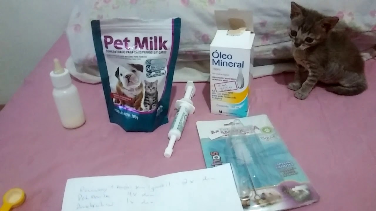 Gato recém nascido, constipação alimentação óleo mineral 0.20ml Seringa 1 ml