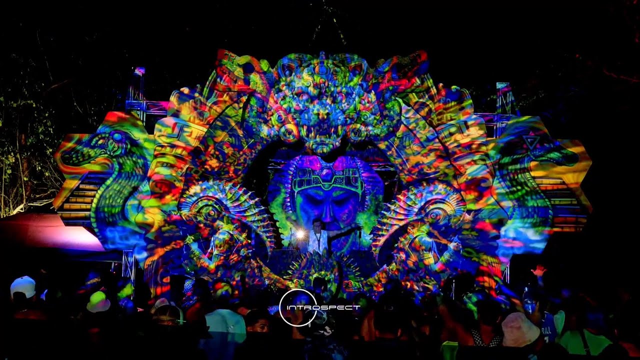 Introspect Live Act Peuali 2025